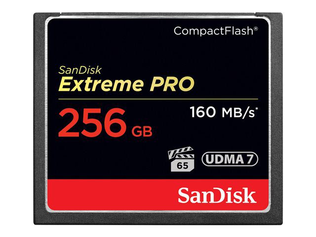 SanDisk Compact Flash 256GB