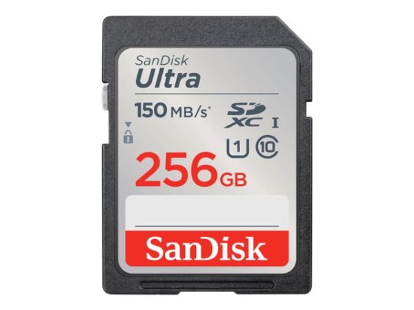SanDisk Ultra 256