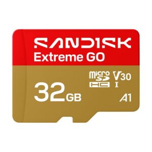 SanDisk Extreme GO 32GB microSDHC -muistikortti V30